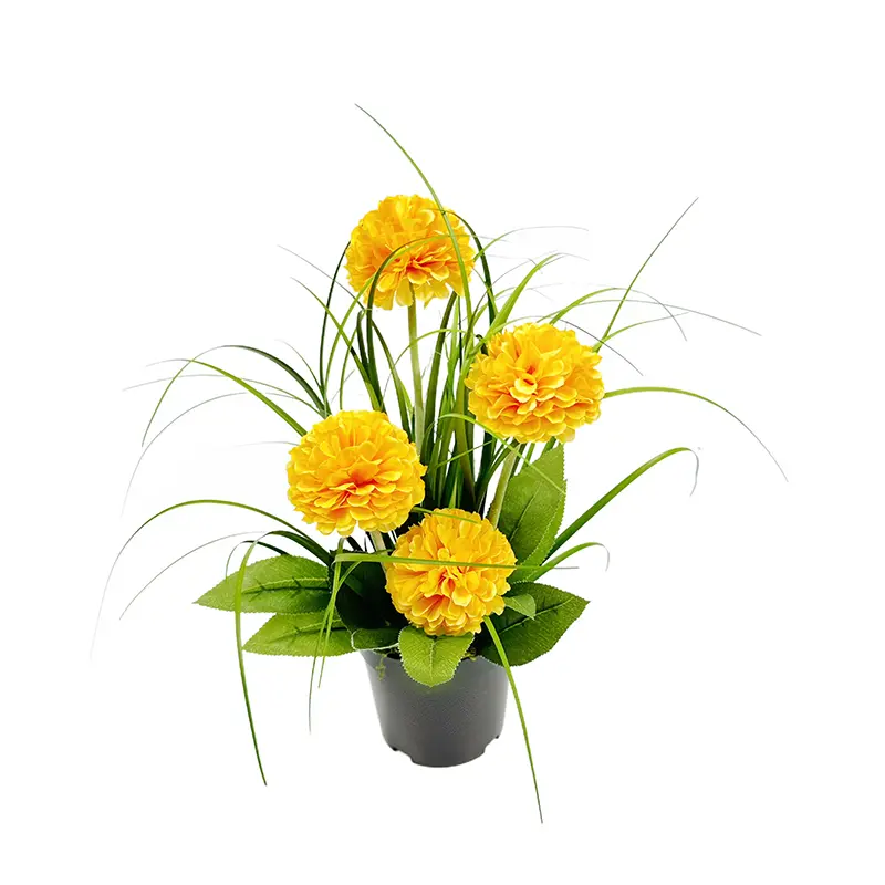 Land Lotus Flower Pot