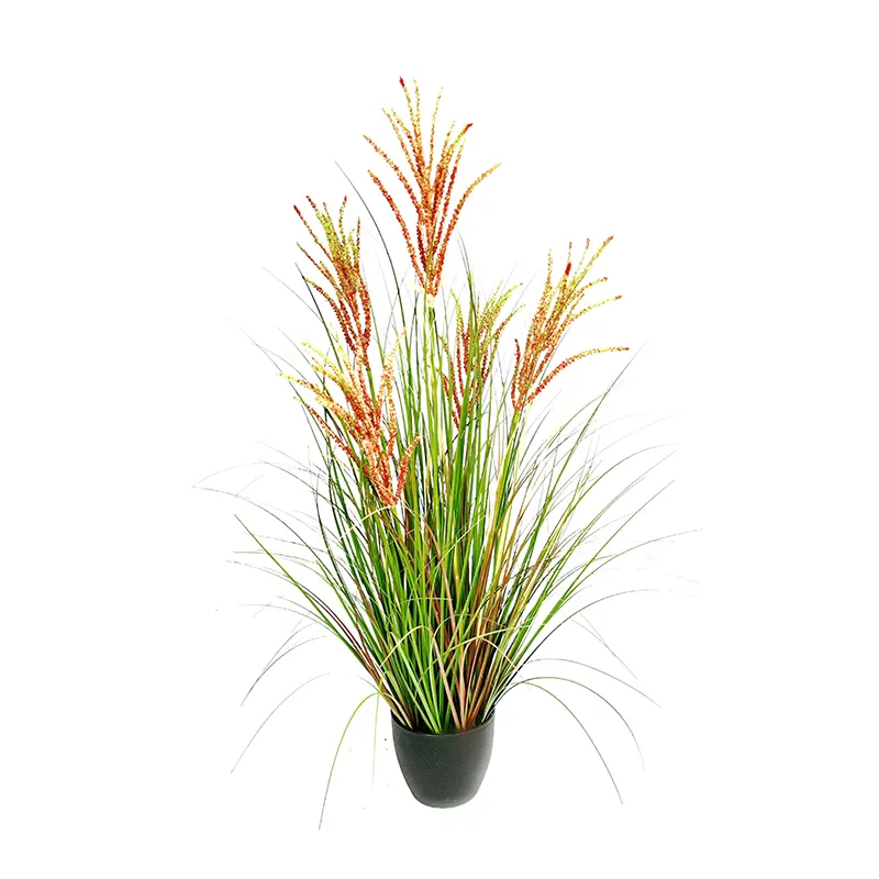 Exquisite Straw Basin