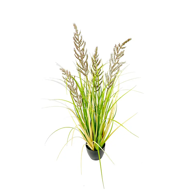 Barnyard Grass Pot