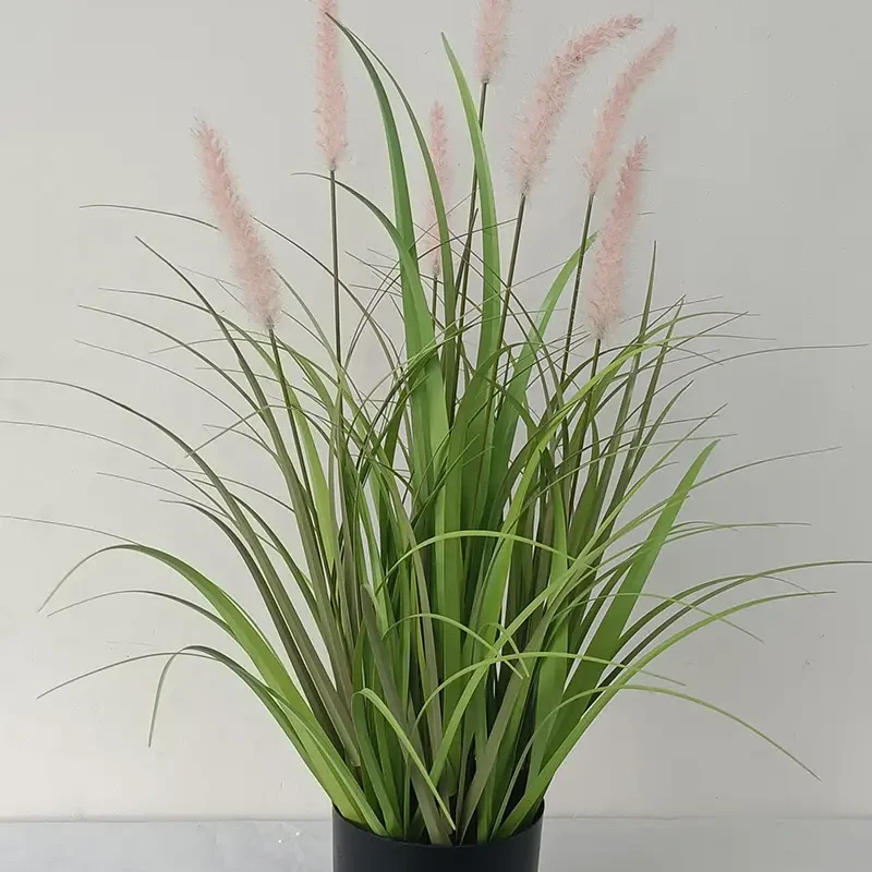 Setaria Flower Pot