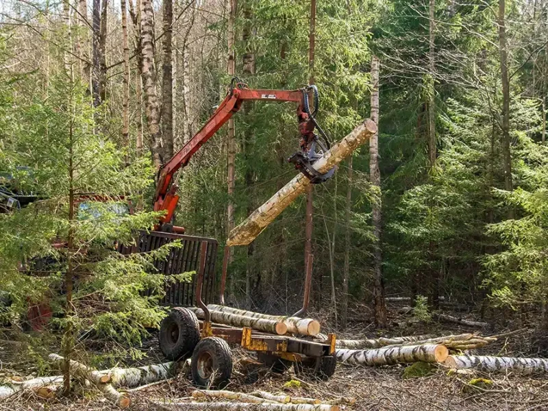 a-crane-is-lifting-logs-into-the-woods.webp